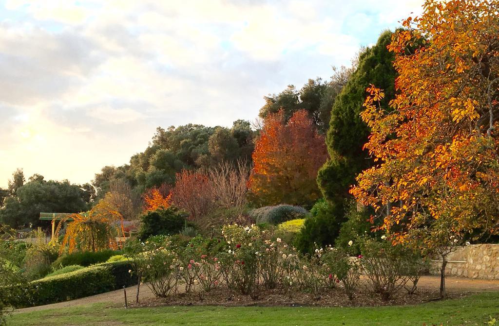 The Garden Cottage At The Olives Yankalilla Exterior photo